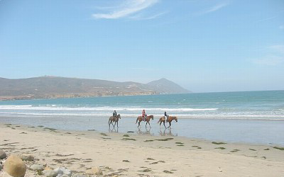 Paseos a caballo en Ensenada